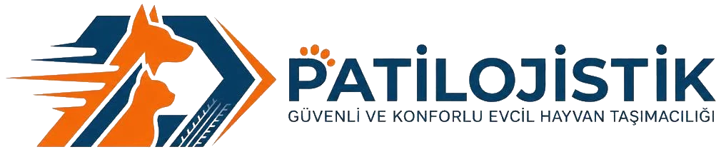 patilojistik logo